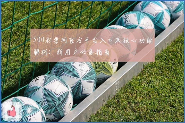 500彩票网官方平台入口及核心功能解析：新用户必备指南